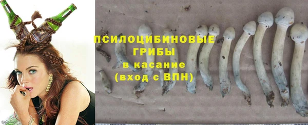 прущие крисы Алексеевка